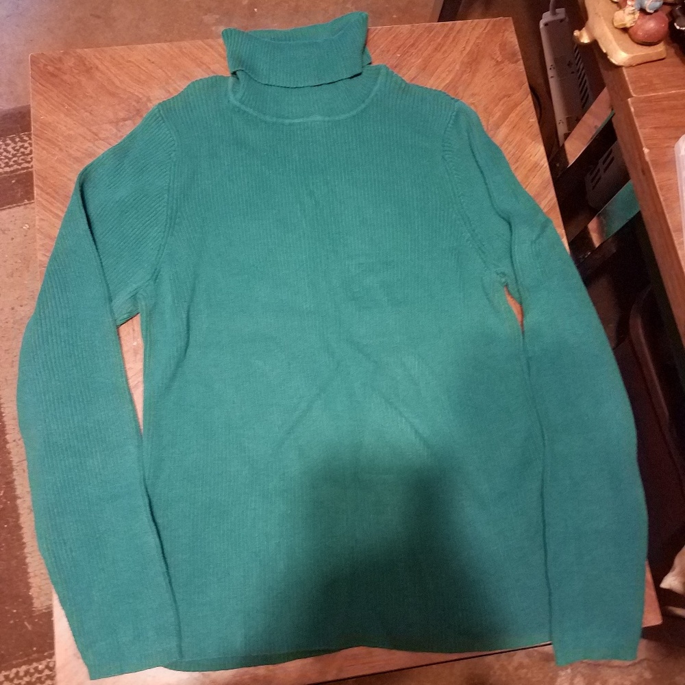 Women's turtleneck by kim Rogers